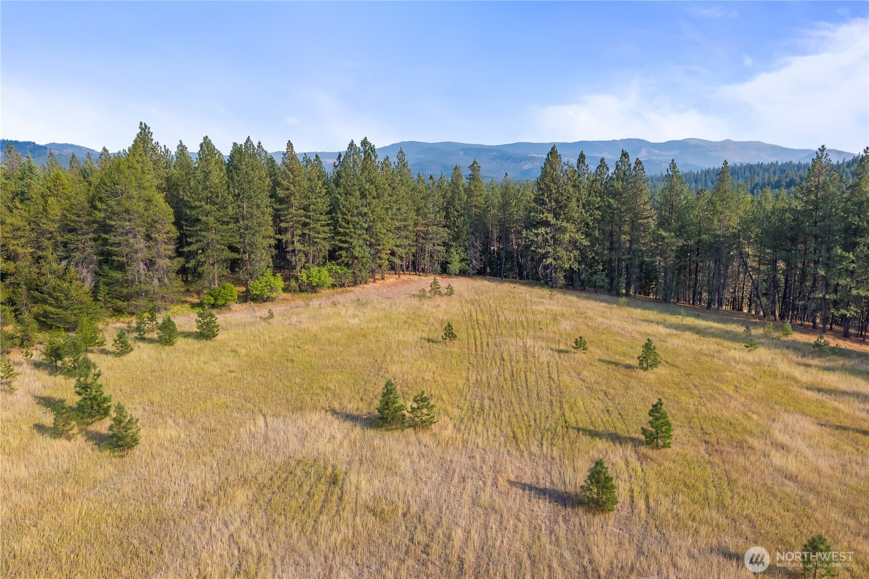 42-xxx Lyons Hill Road Springdale, WA 99173 - Photo 17 of 24