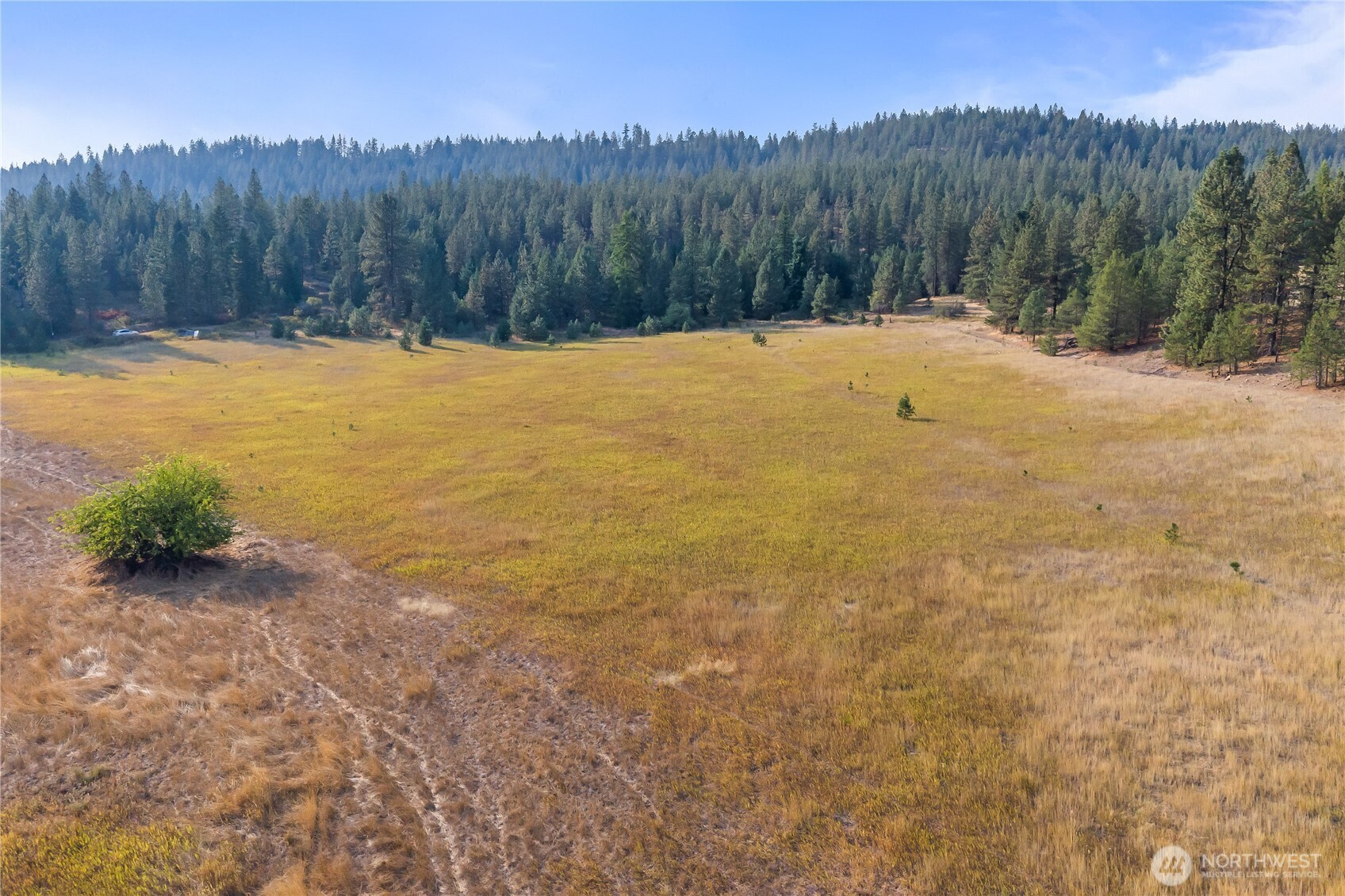 42-xxx Lyons Hill Road Springdale, WA 99173 - Photo 18 of 24