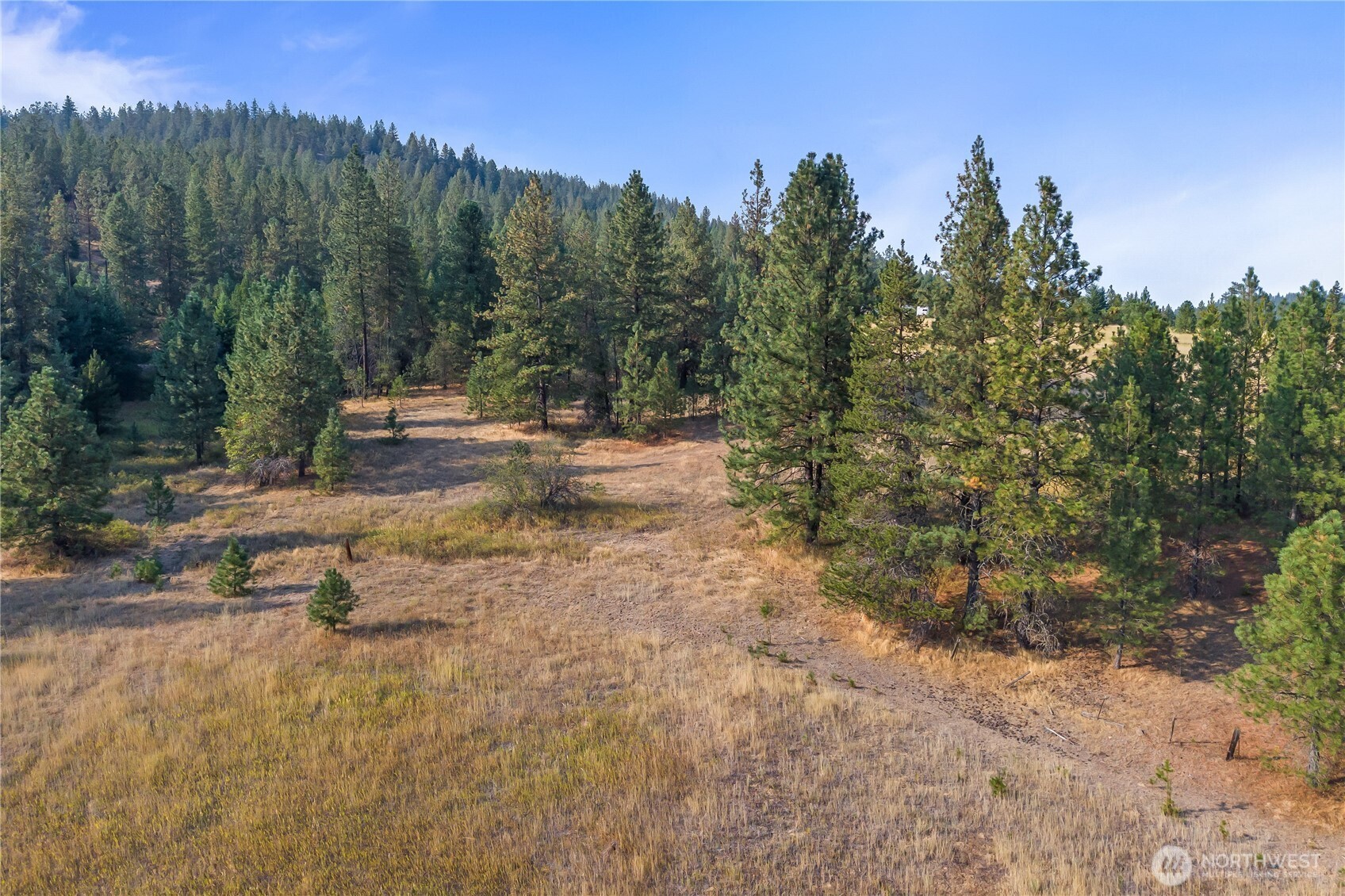 42-xxx Lyons Hill Road Springdale, WA 99173 - Photo 20 of 24