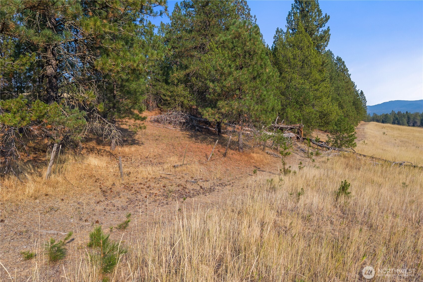 42-xxx Lyons Hill Road Springdale, WA 99173 - Photo 21 of 24