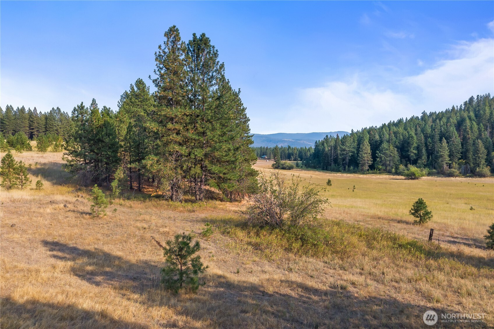 42-xxx Lyons Hill Road Springdale, WA 99173 - Photo 22 of 24