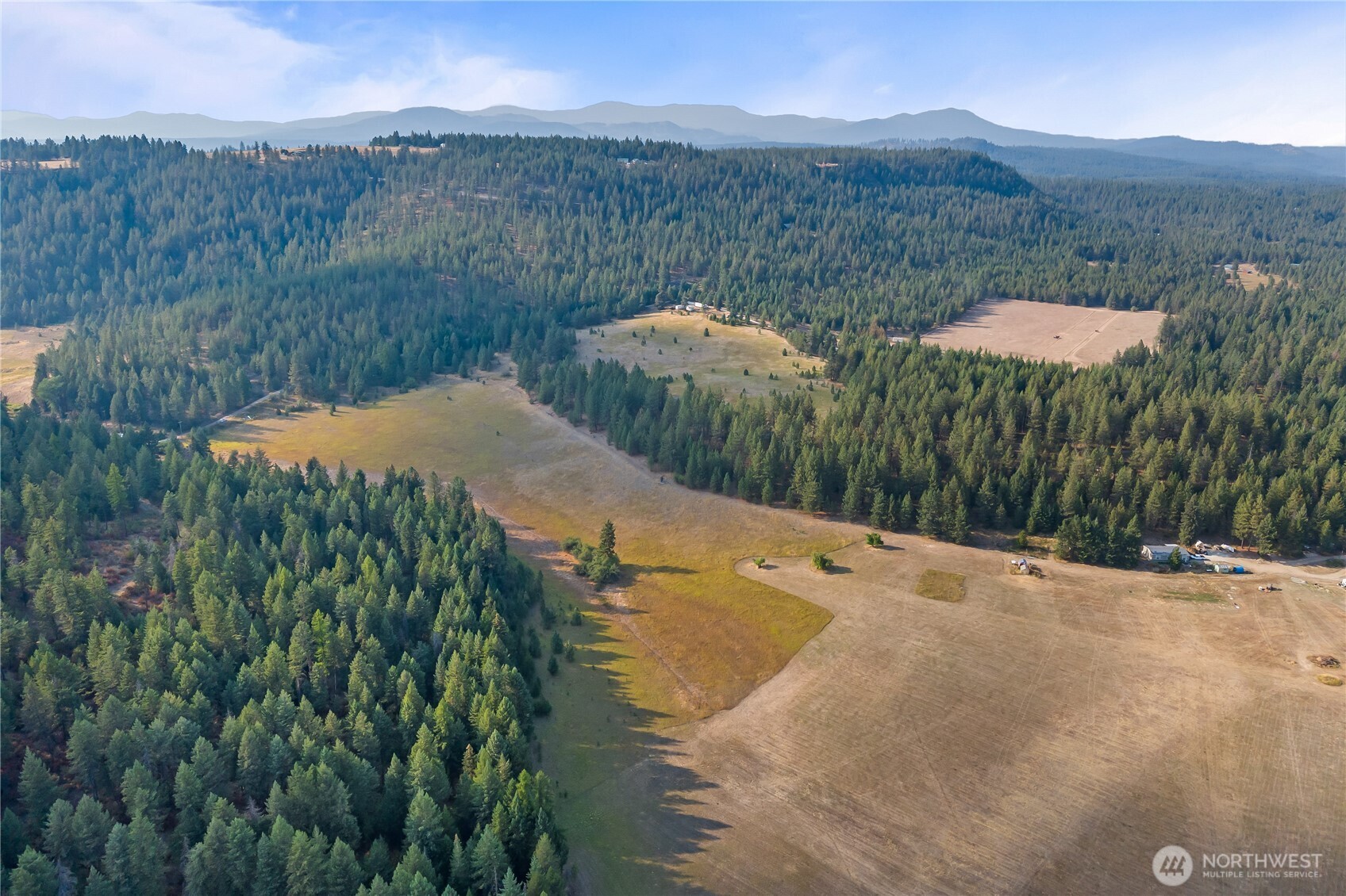 42-xxx Lyons Hill Road Springdale, WA 99173 - Photo 3 of 24