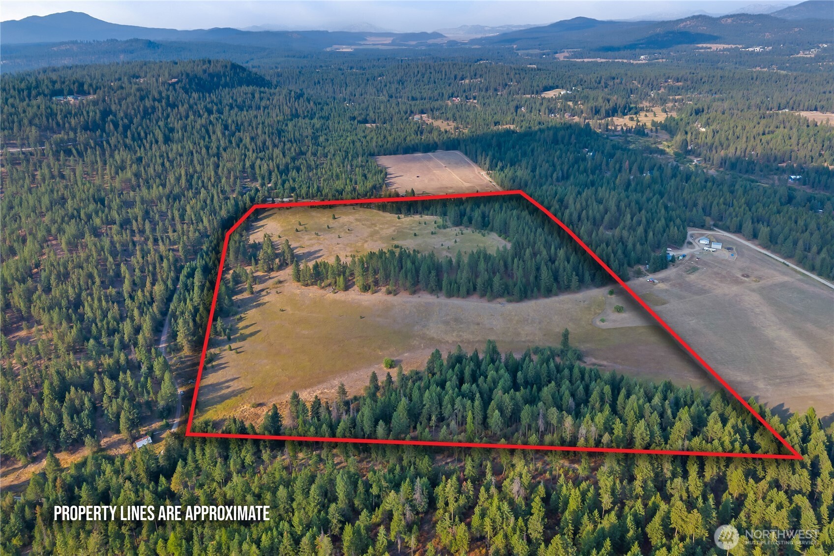 42-xxx Lyons Hill Road Springdale, WA 99173 - Photo 5 of 24