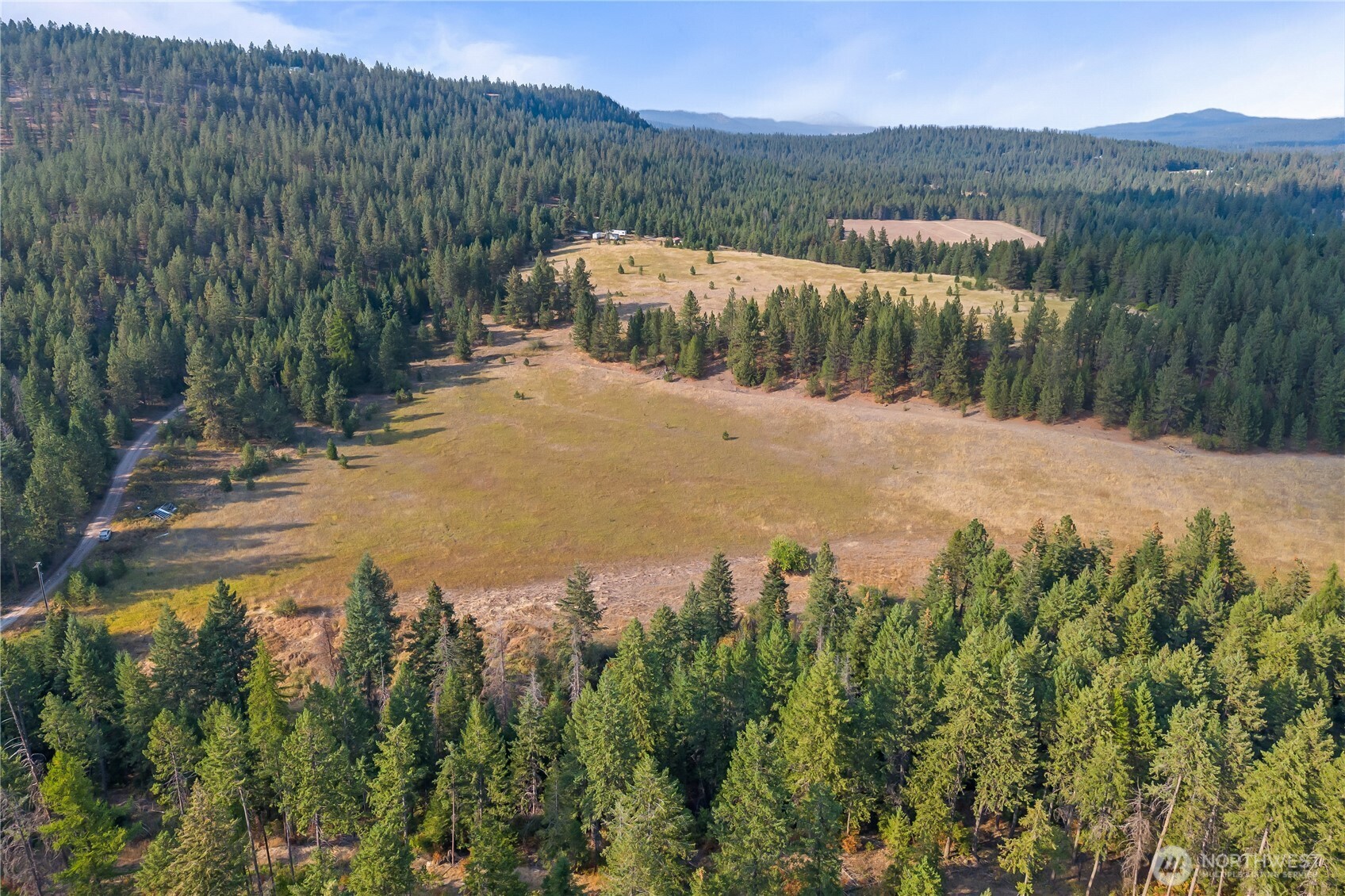 42-xxx Lyons Hill Road Springdale, WA 99173 - Photo 7 of 24