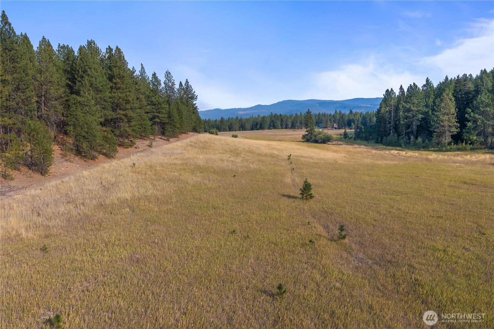 42-xxx Lyons Hill Road Springdale, WA 99173 - Photo 8 of 24