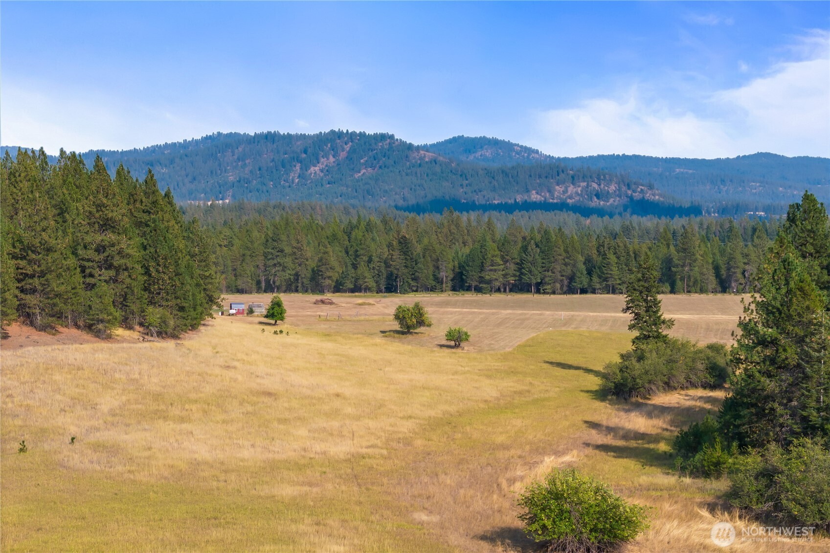 42-xxx Lyons Hill Road Springdale, WA 99173 - Photo 9 of 24