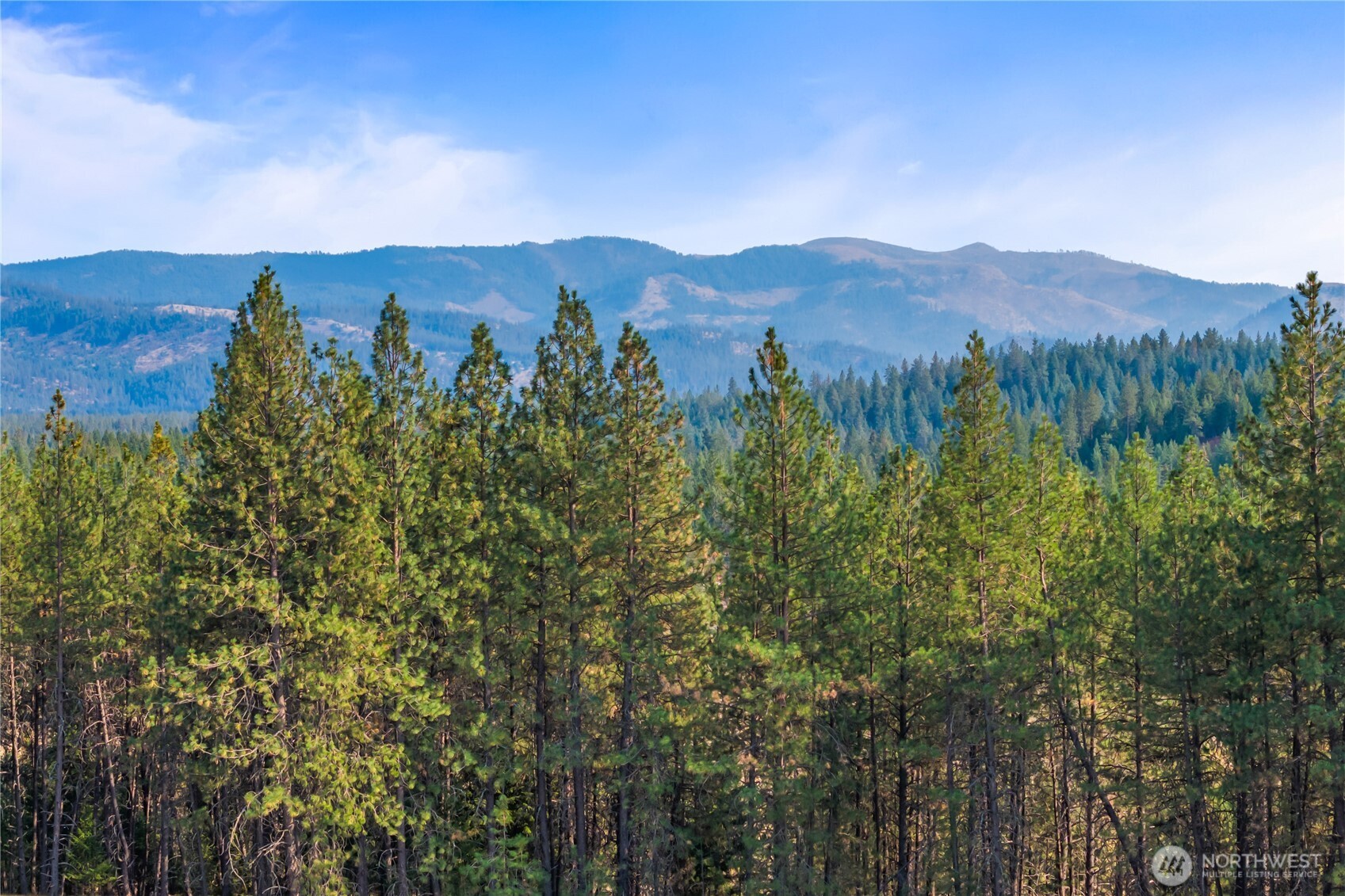 42-xxx Lyons Hill Road Springdale, WA 99173 - Photo 10 of 24