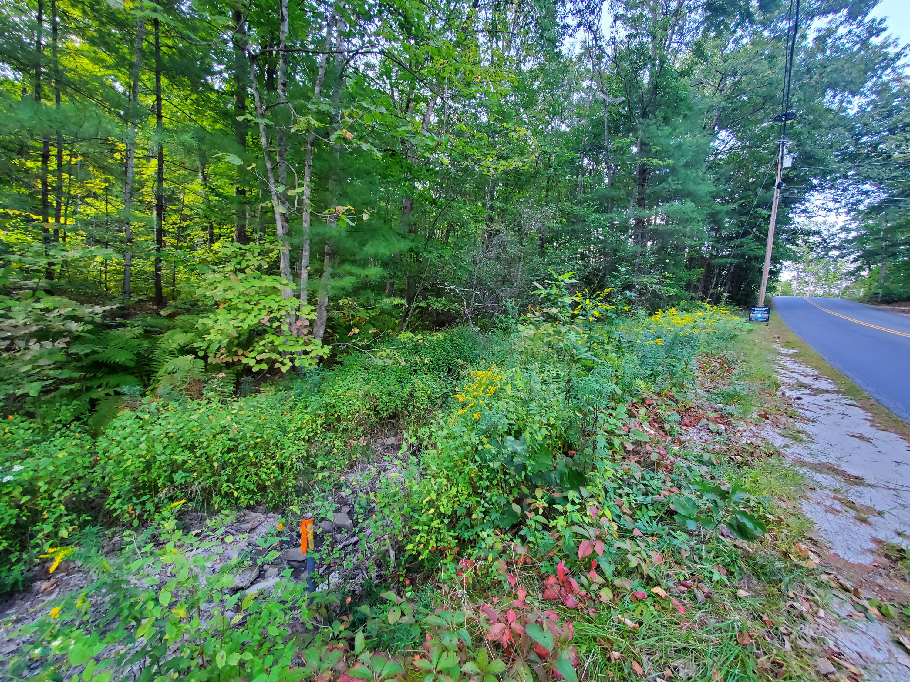 11-007 Westwood Road Gray, ME 04039 - Photo 7 of 7 20240913_162425