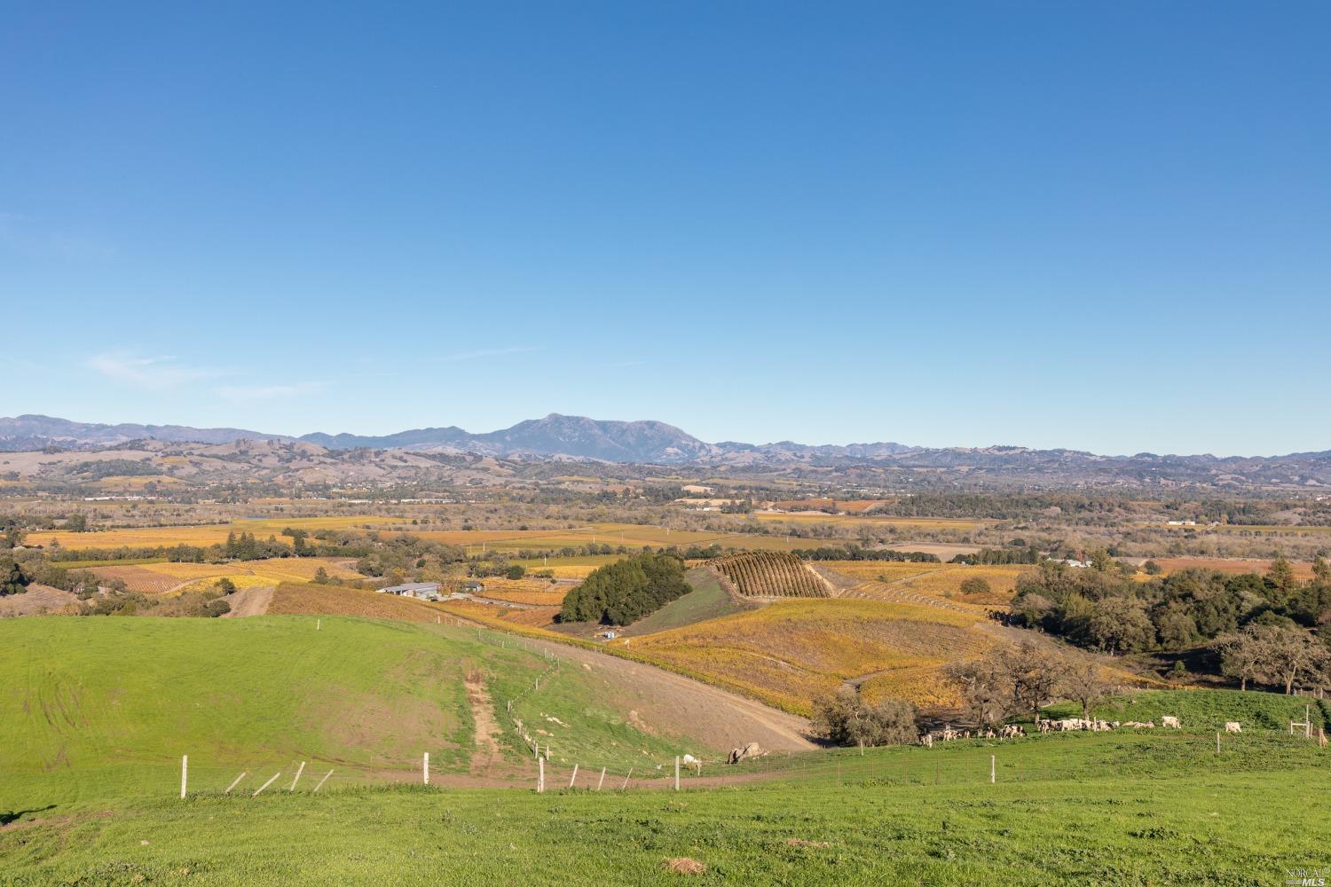5285 Westside Road Healdsburg, CA 95448 - Photo 5 of 58
