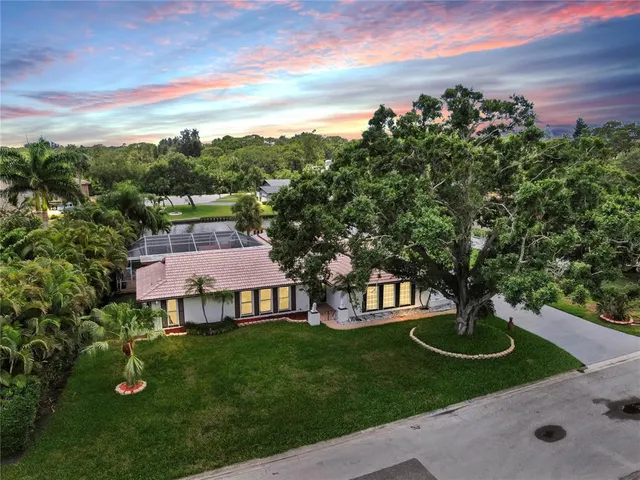 a view of a garden with plants and large trees