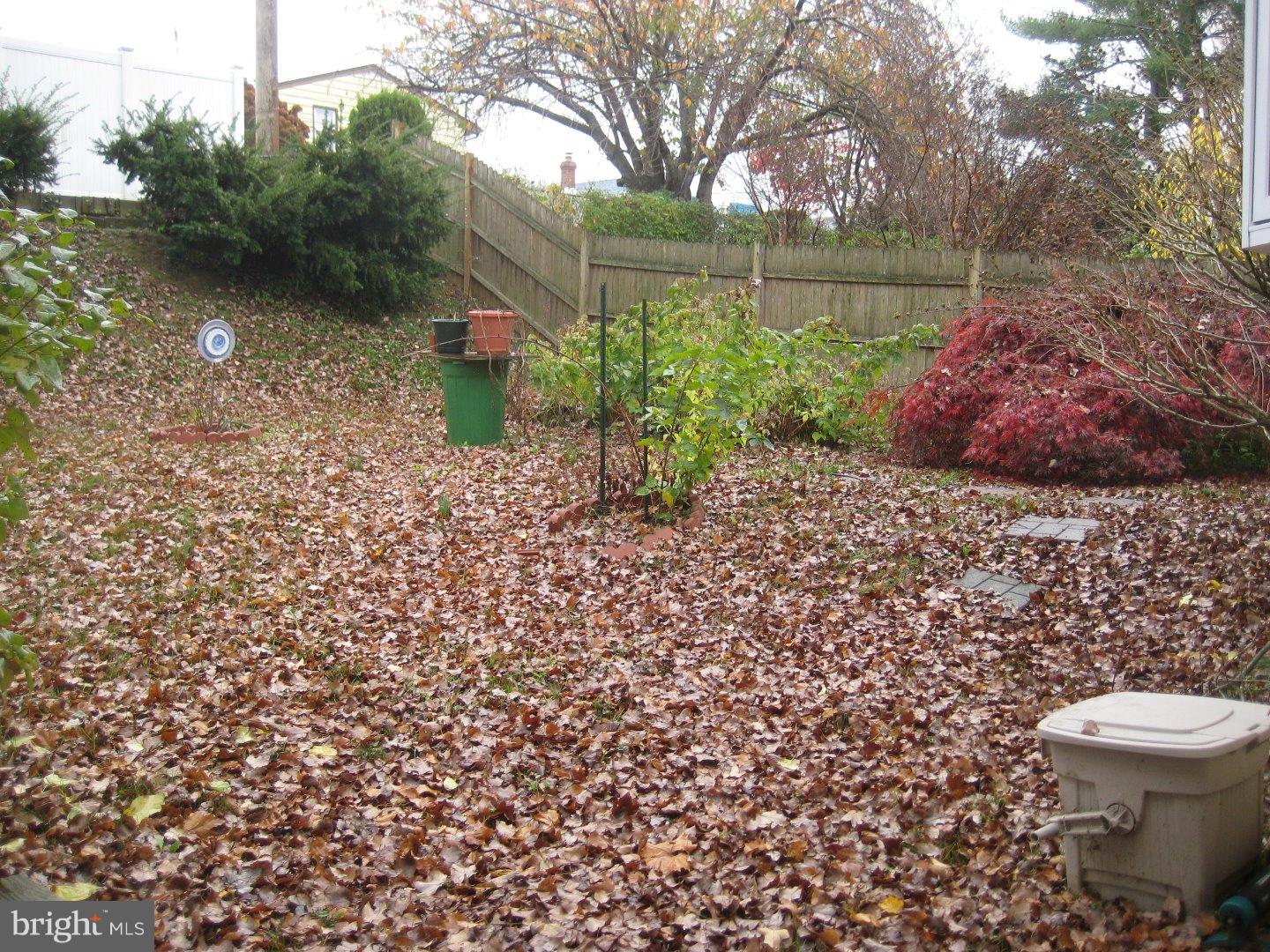 1037 Hoven Road Philadelphia, PA 19115 - Photo 24 of 25 Back Yard