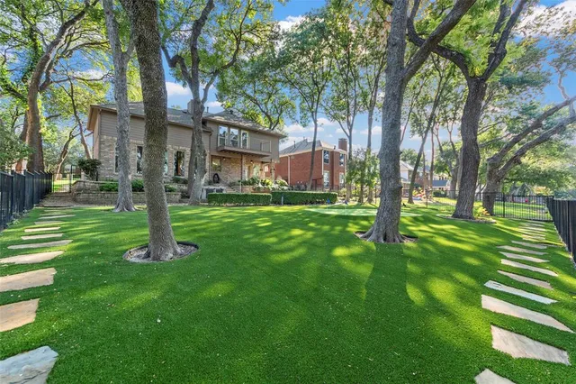 a tall tree in middle of a park
