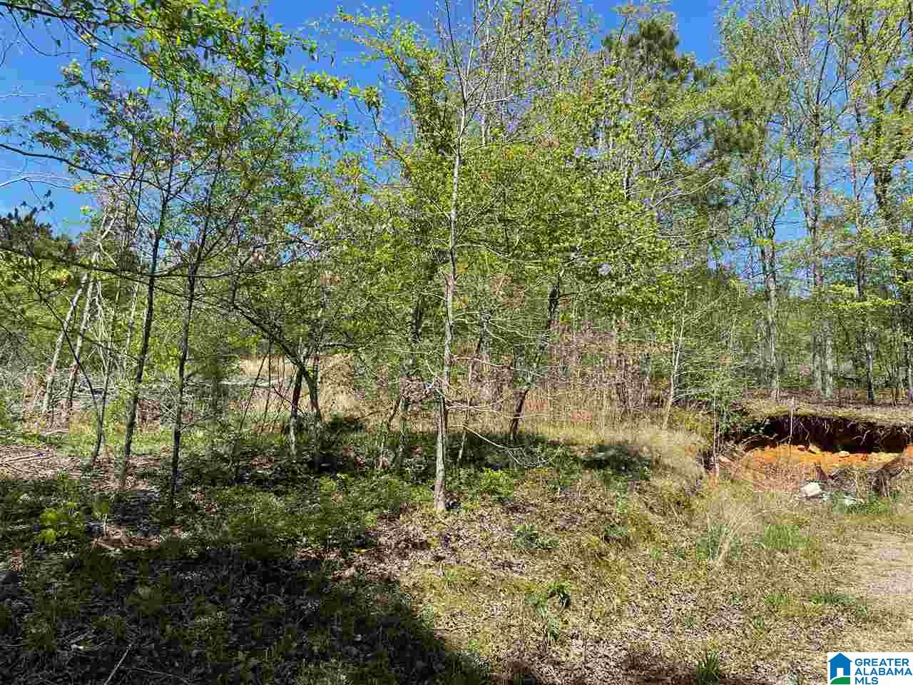 499 Greensport Road Ohatchee, AL 36271 - Photo 12 of 12