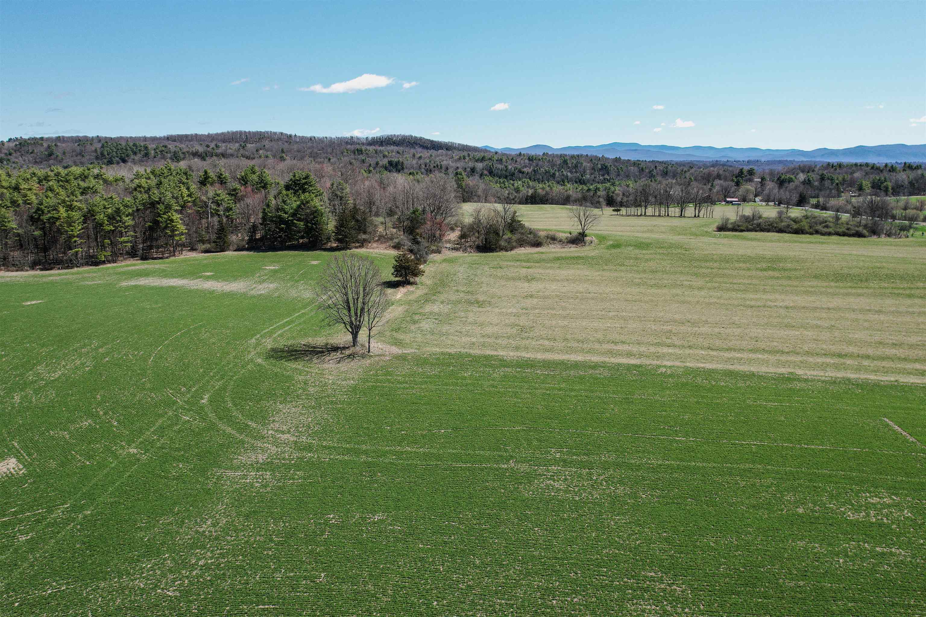 1705 Market Road Bridport, VT 05734 - Photo 6 of 9