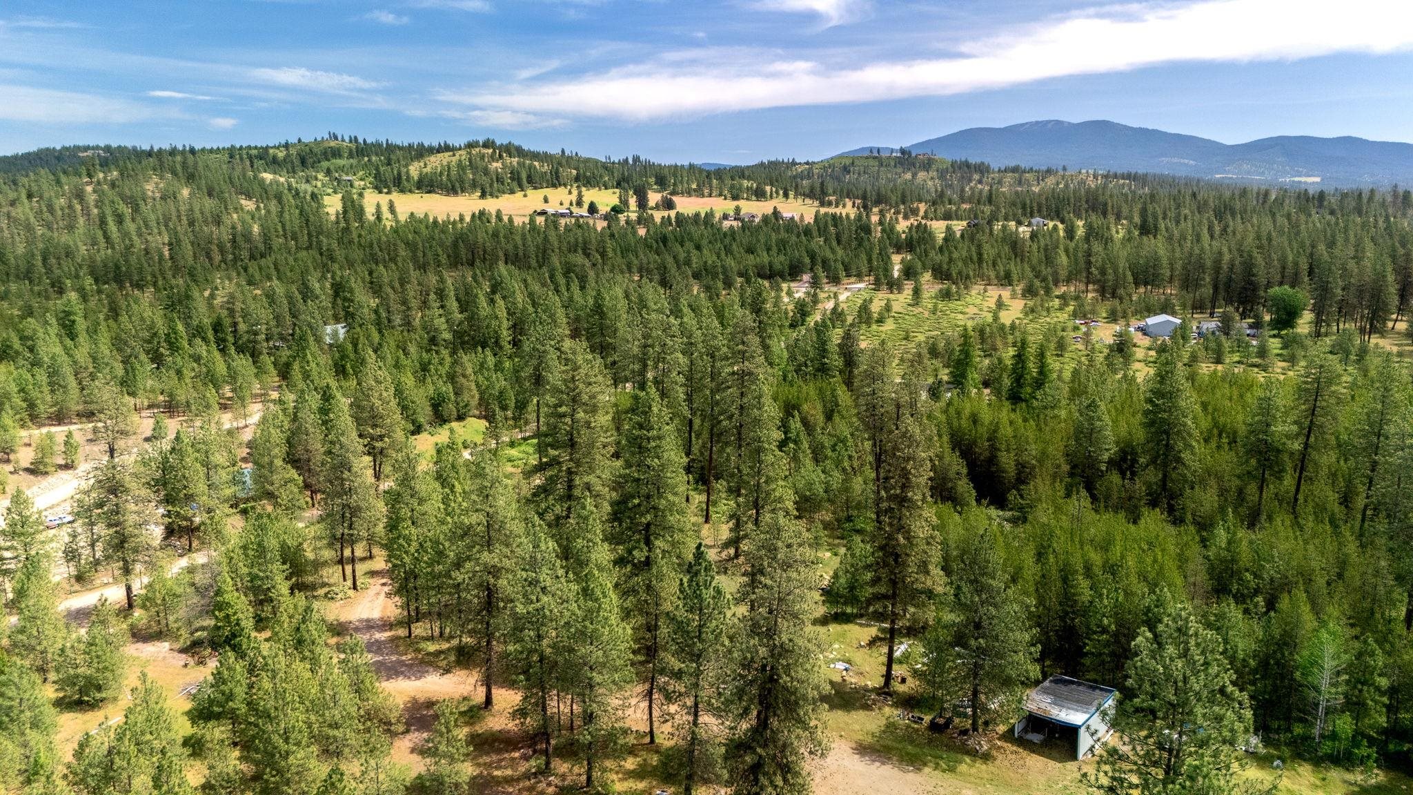 28995 North Hardesty Road Chattaroy, WA 99003 - Photo 46 of 46