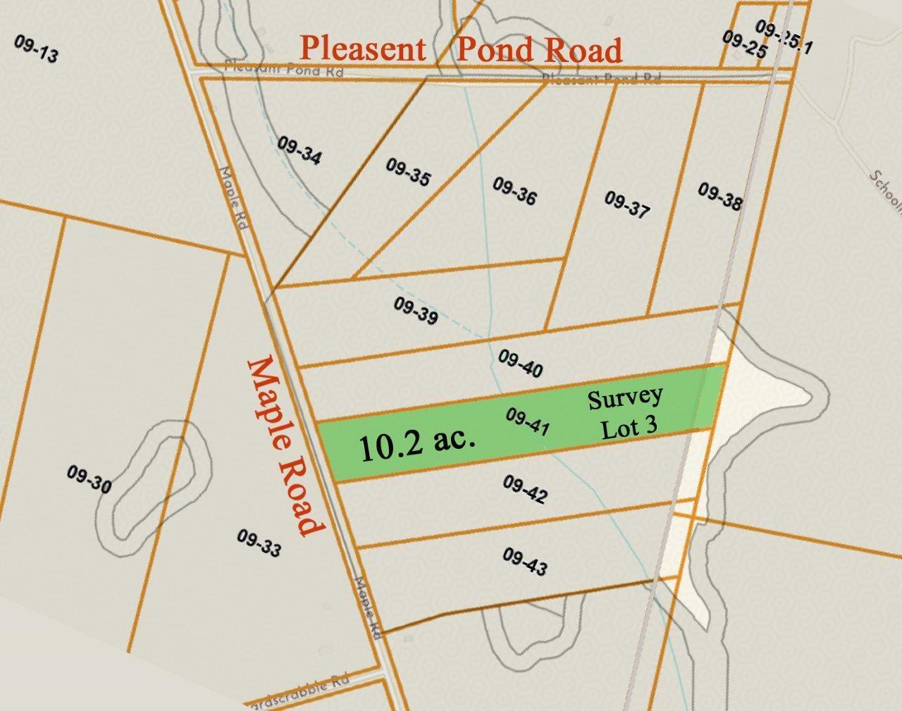 Lot 3 Maple Road Milo, ME 04463 - Photo 4 of 17 TM LUPC Zoning and Parcel Viewer_edited-