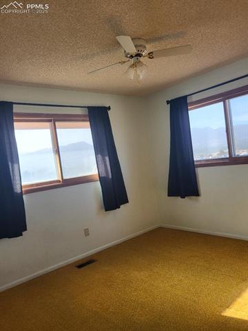 1215 Old Ranch Road Colorado Springs, CO 80920 - Photo 13 of 15 Empty room with carpet floors, a healthy amount of sunlight, ceiling fan, and a textured ceiling