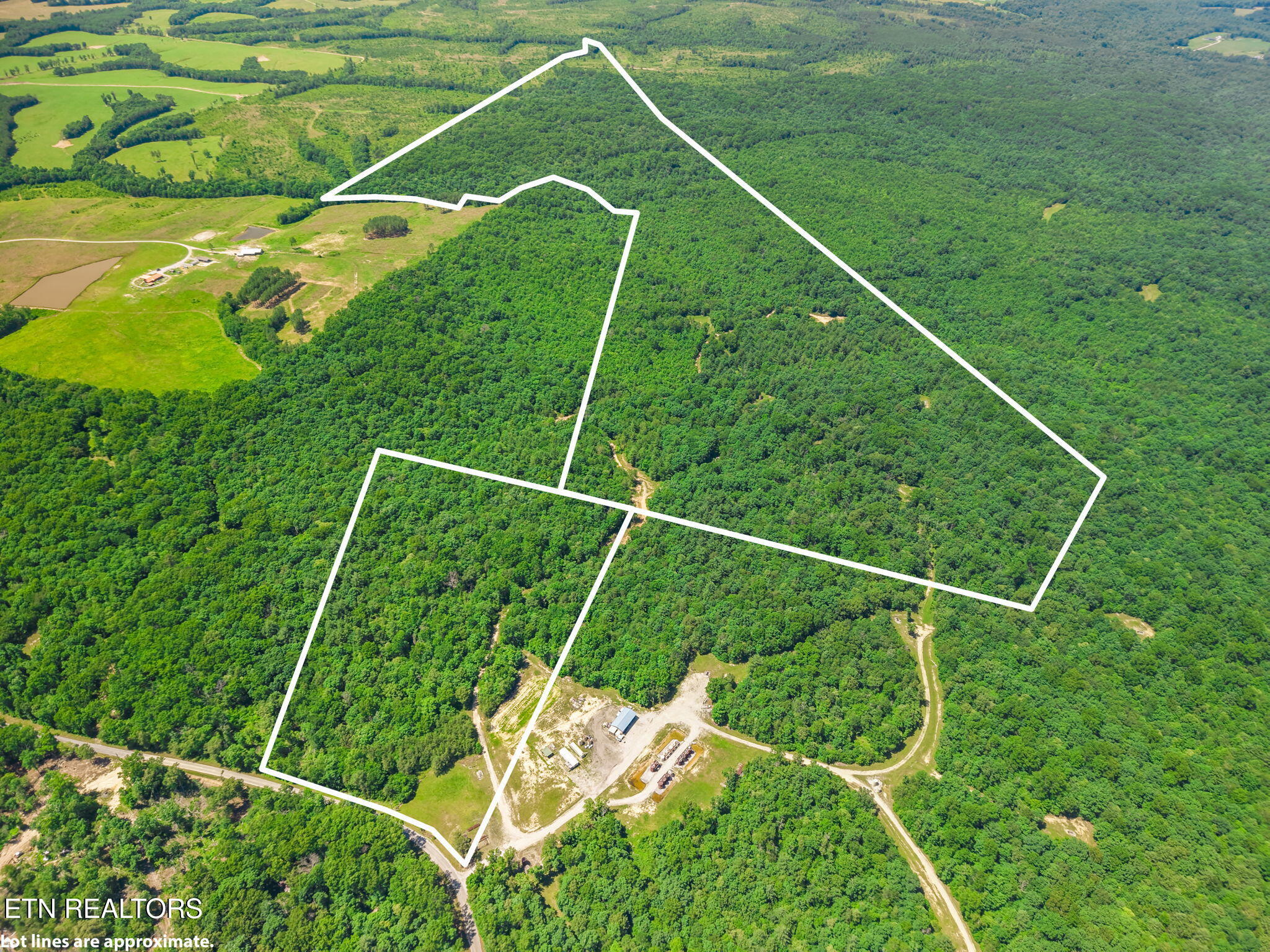 246-tbd Perkins Trail Deer Lodge, TN 37726 - Photo 2 of 15 5-web-or-mls-006--FULL