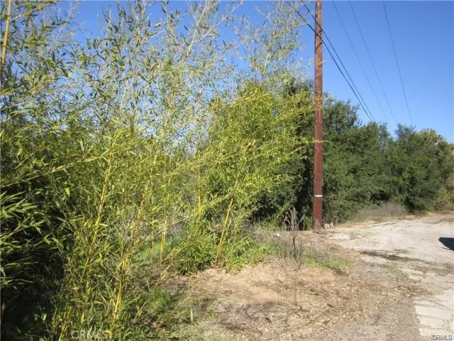 a view of a yard with plants and wooden fence