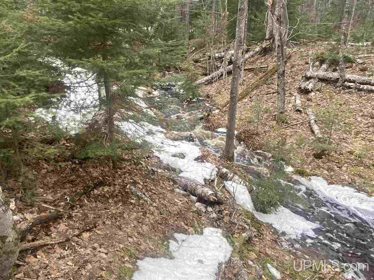 Tbd West Tamarack Lake Road, Unit 17 Iron River, MI 49935 - Photo 28 of 45