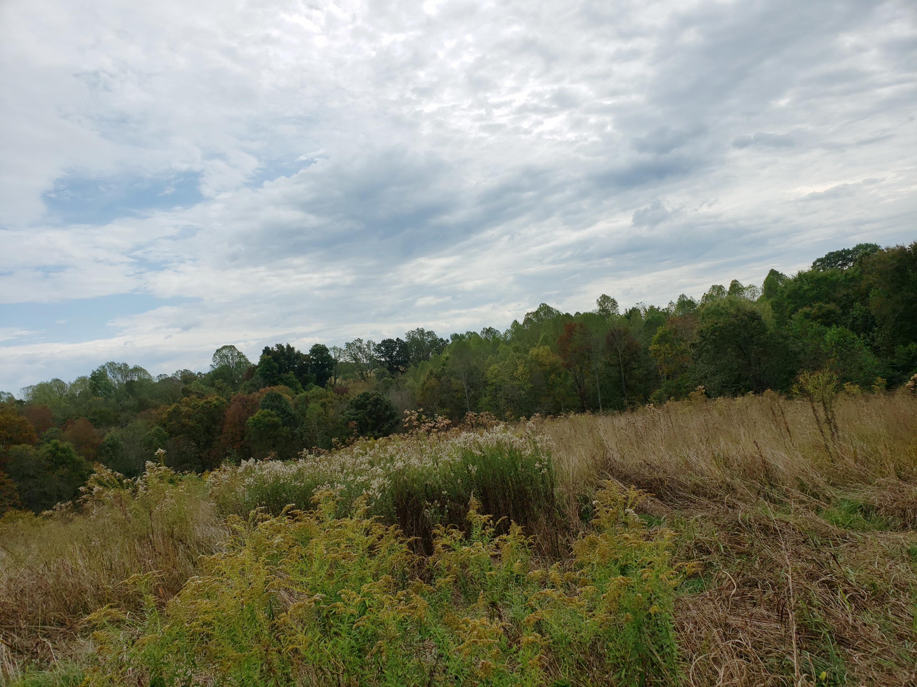 64 Raney Road Yosemite, KY 42566 - Photo 16 of 21 20191011_132920