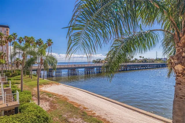 a view of swimming pool with palm trees
