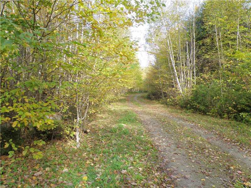 197 Upper Pug Road Lakeville, ME 04487 - Photo 20 of 22 Land/Lot. Frontage along Upper Pug...