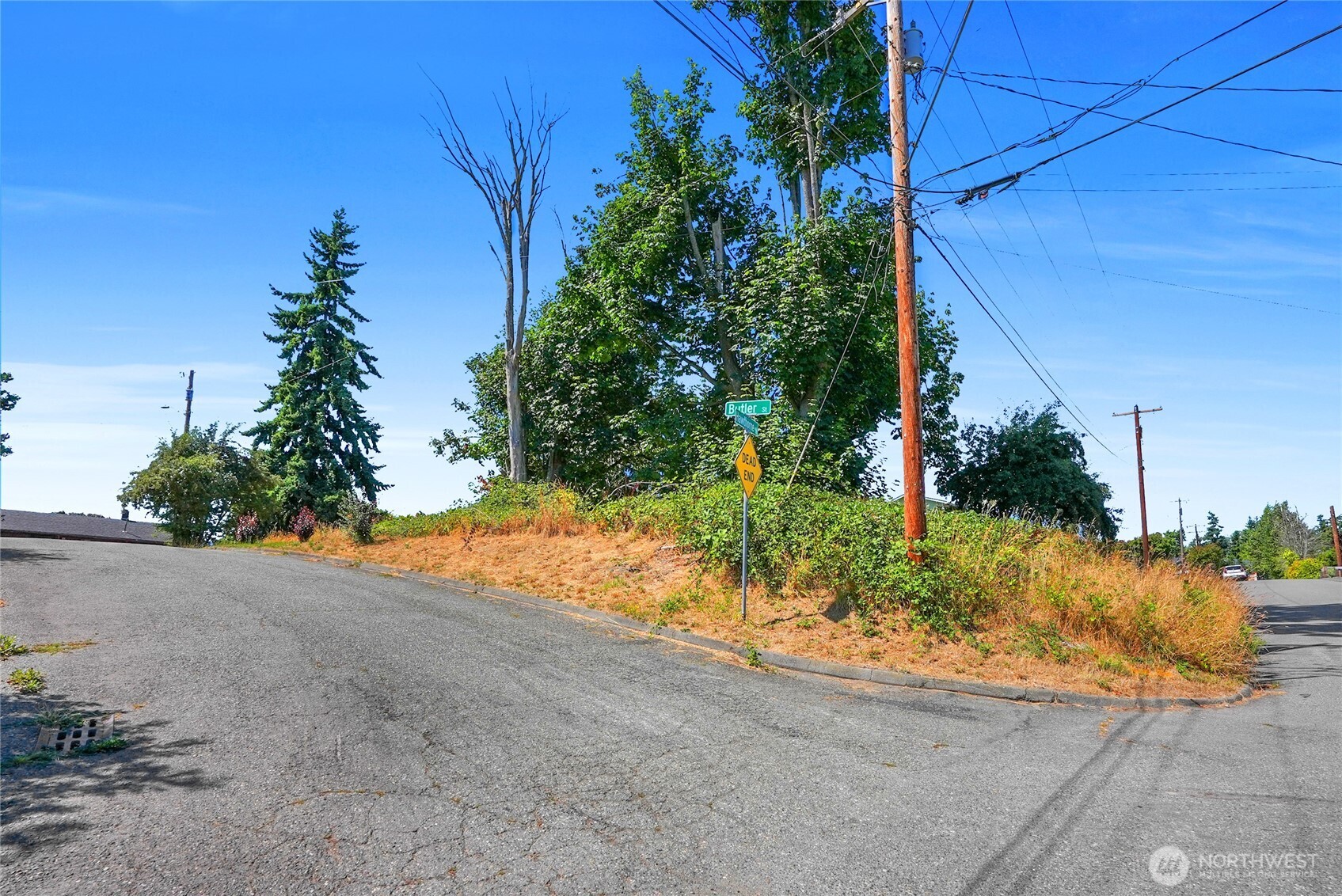 a backyard of a house with lots of green space