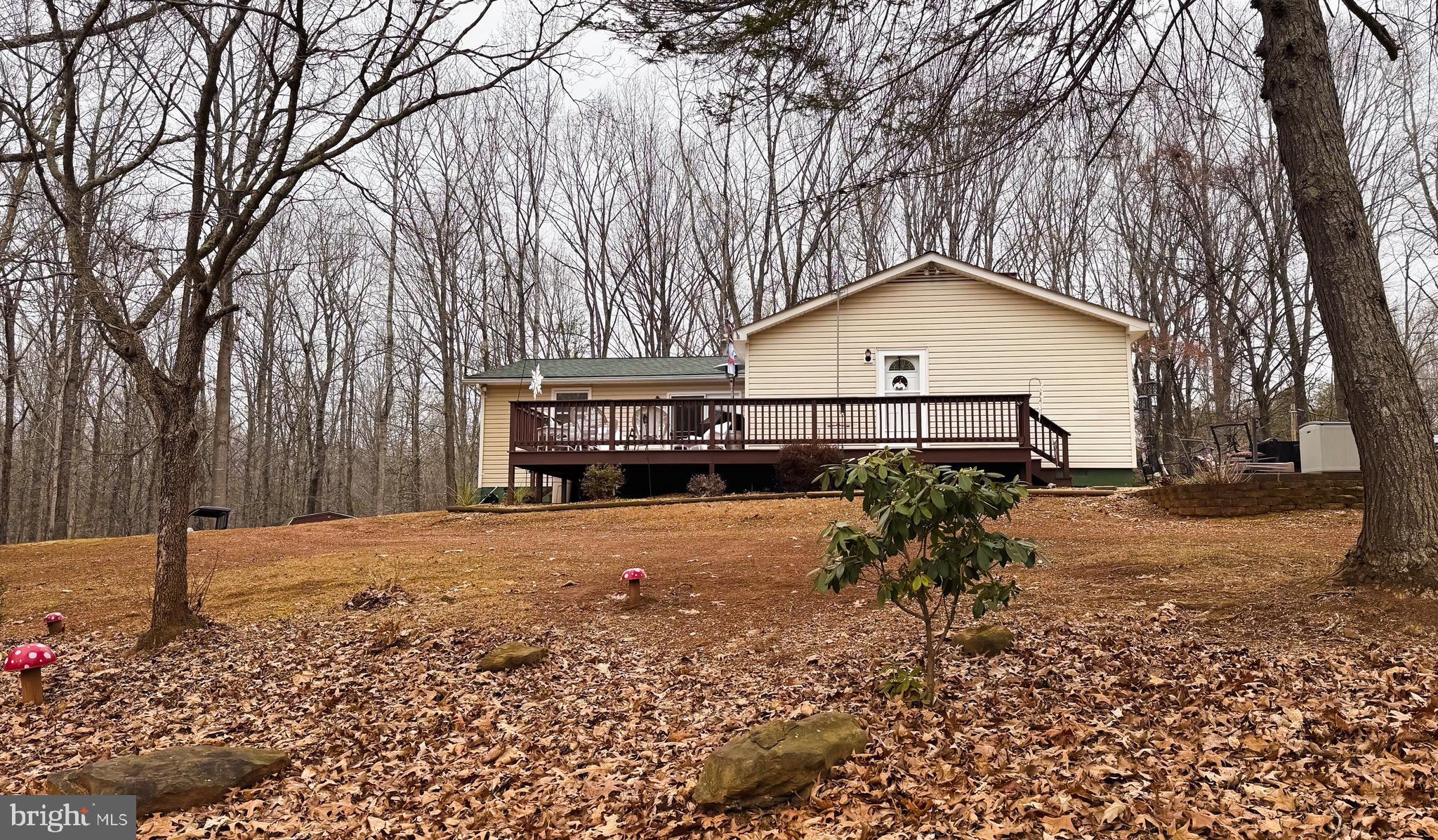 15366 Black Hill Road Rixeyville, VA 22737 - Photo 6 of 35 a front view of a house with a yard