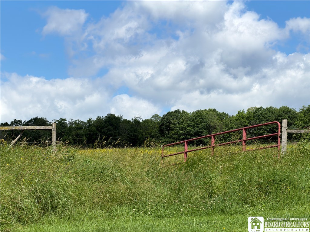 3801 Sprague Hill Road, Unit 3800 Falconer, NY 14733 - Photo 24 of 28