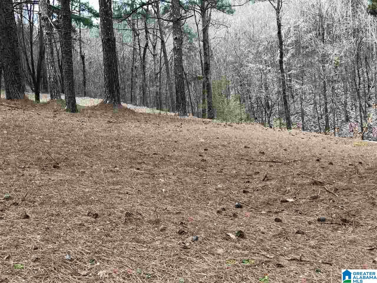 3755 Hillcrest Road Birmingham, AL 35214 - Photo 37 of 44