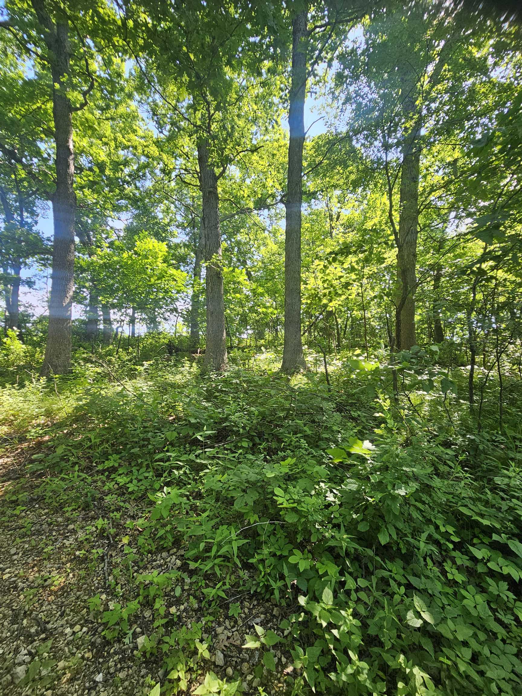 13061 Walnut Blf Road Bagley, WI 53801 - Photo 14 of 18