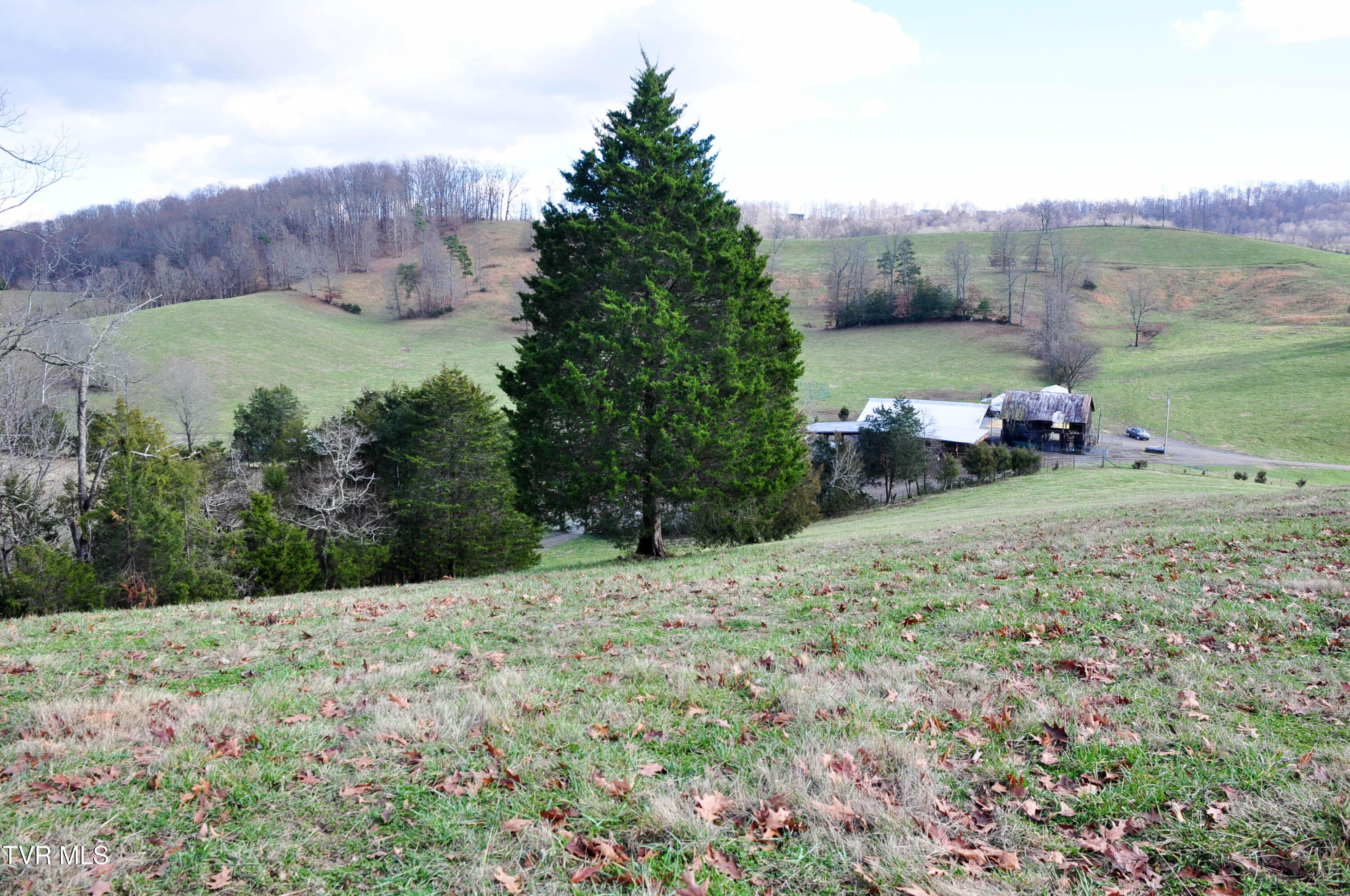 760 Church Road Fall Branch, TN 37656 - Photo 8 of 49 DSC_5701
