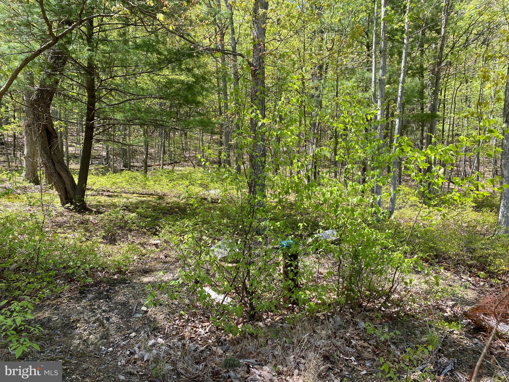 84 Alex Lane Berkeley Springs, WV 25411 - Photo 5 of 7 Well