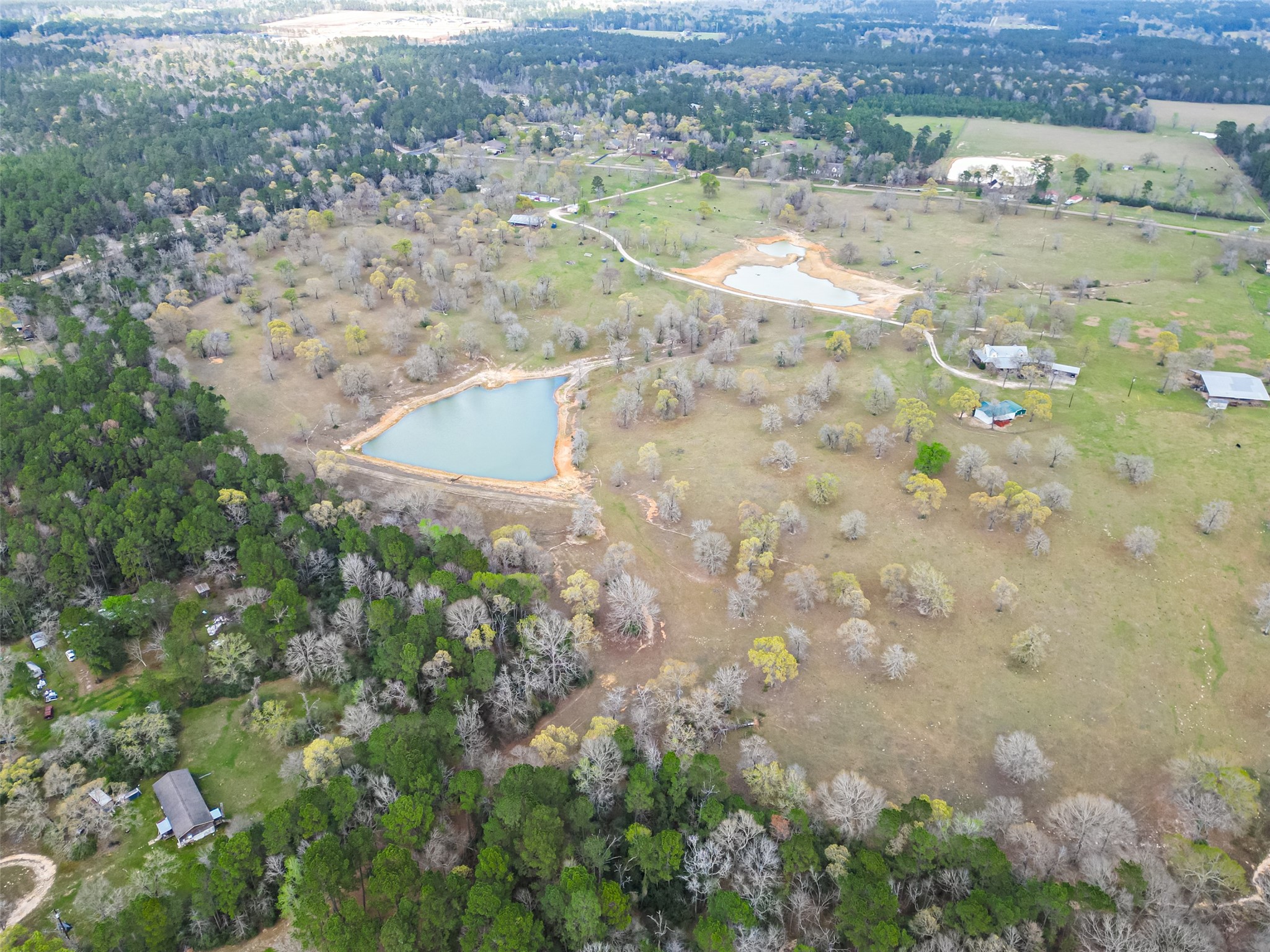 0 Clint Parker Road Conroe, TX 77303 - Photo 20 of 29