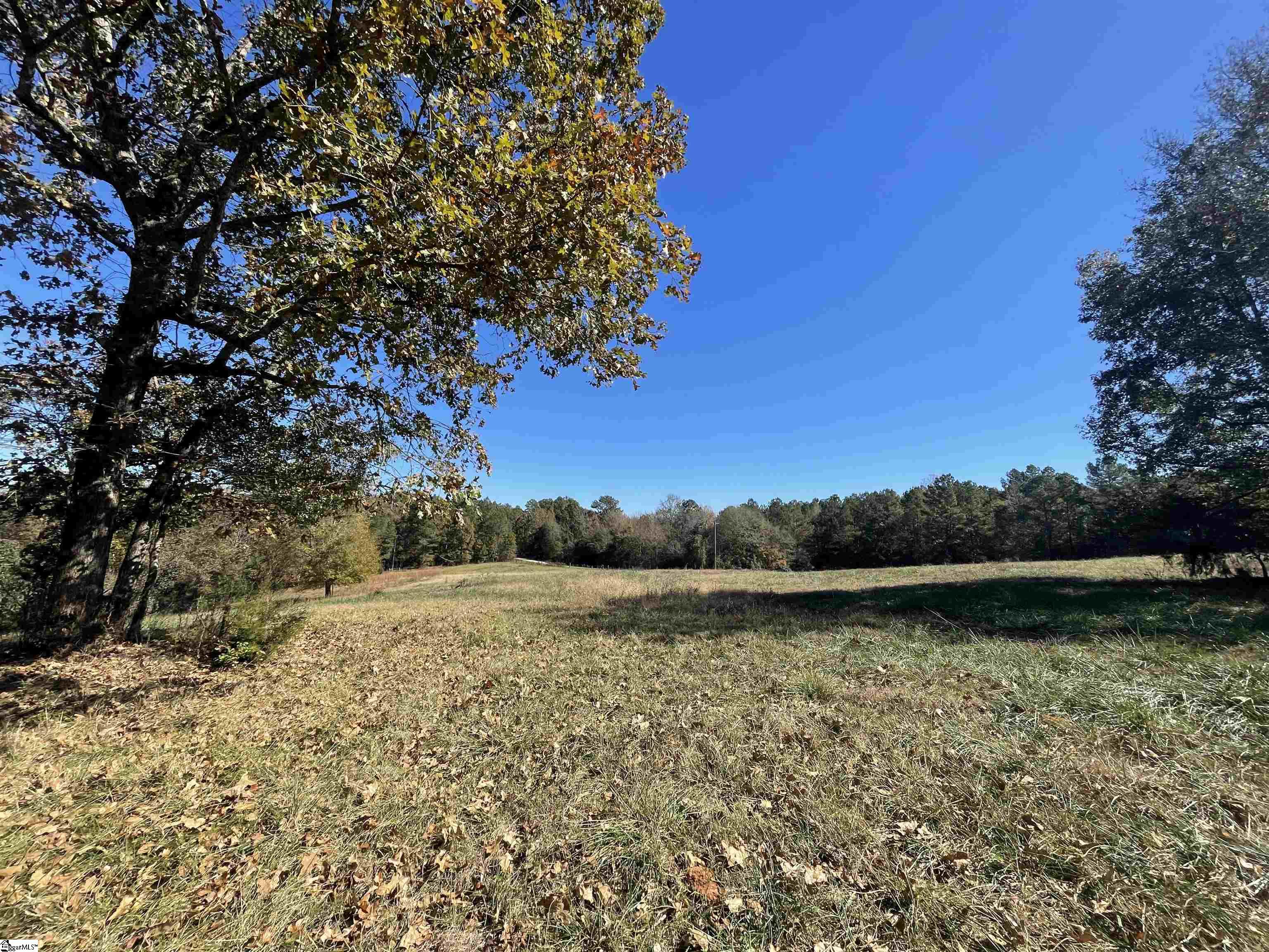 0 Gibert Road Ware Shoals, SC 29692 - Photo 4 of 9