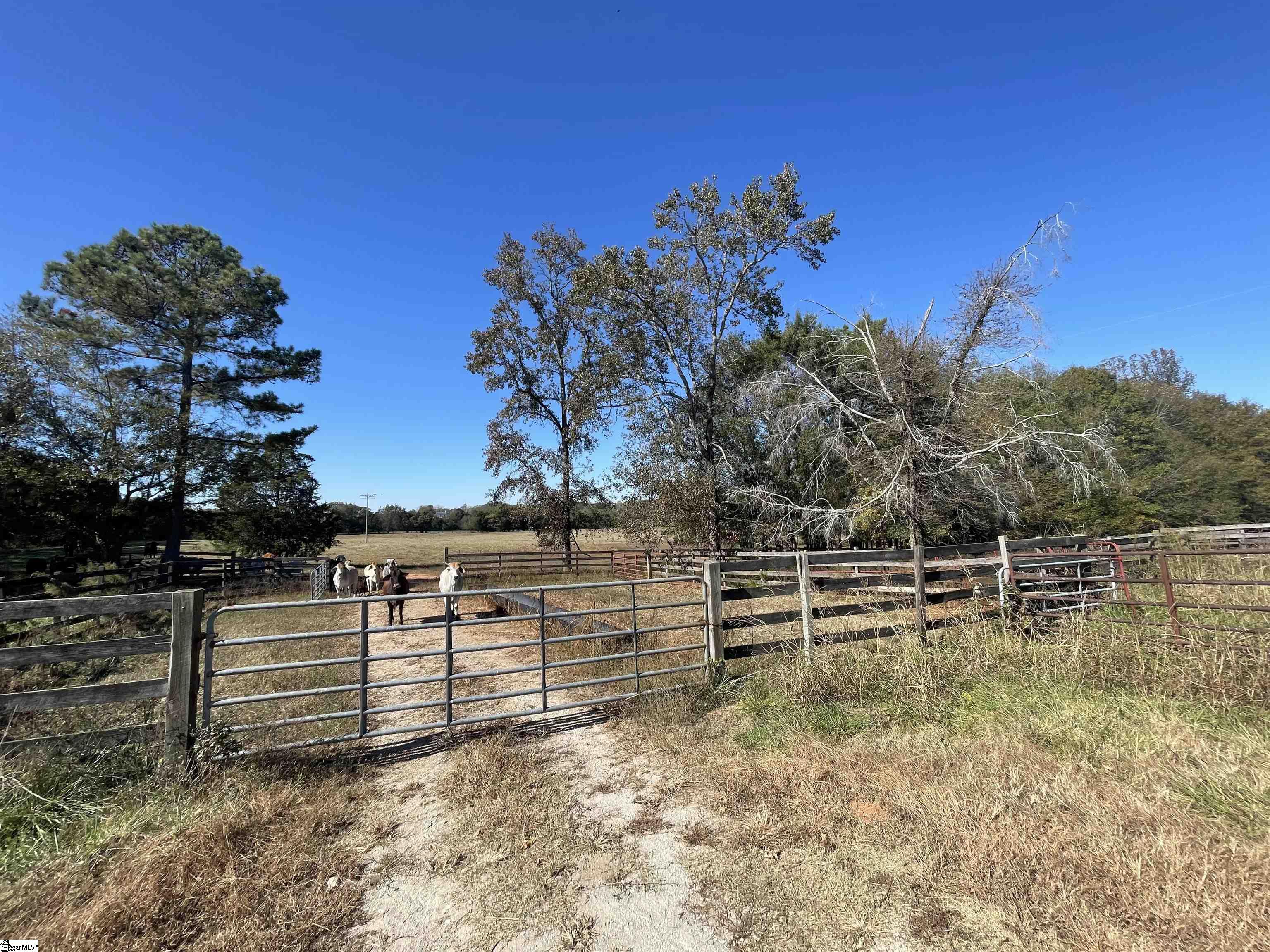 0 Gibert Road Ware Shoals, SC 29692 - Photo 6 of 9