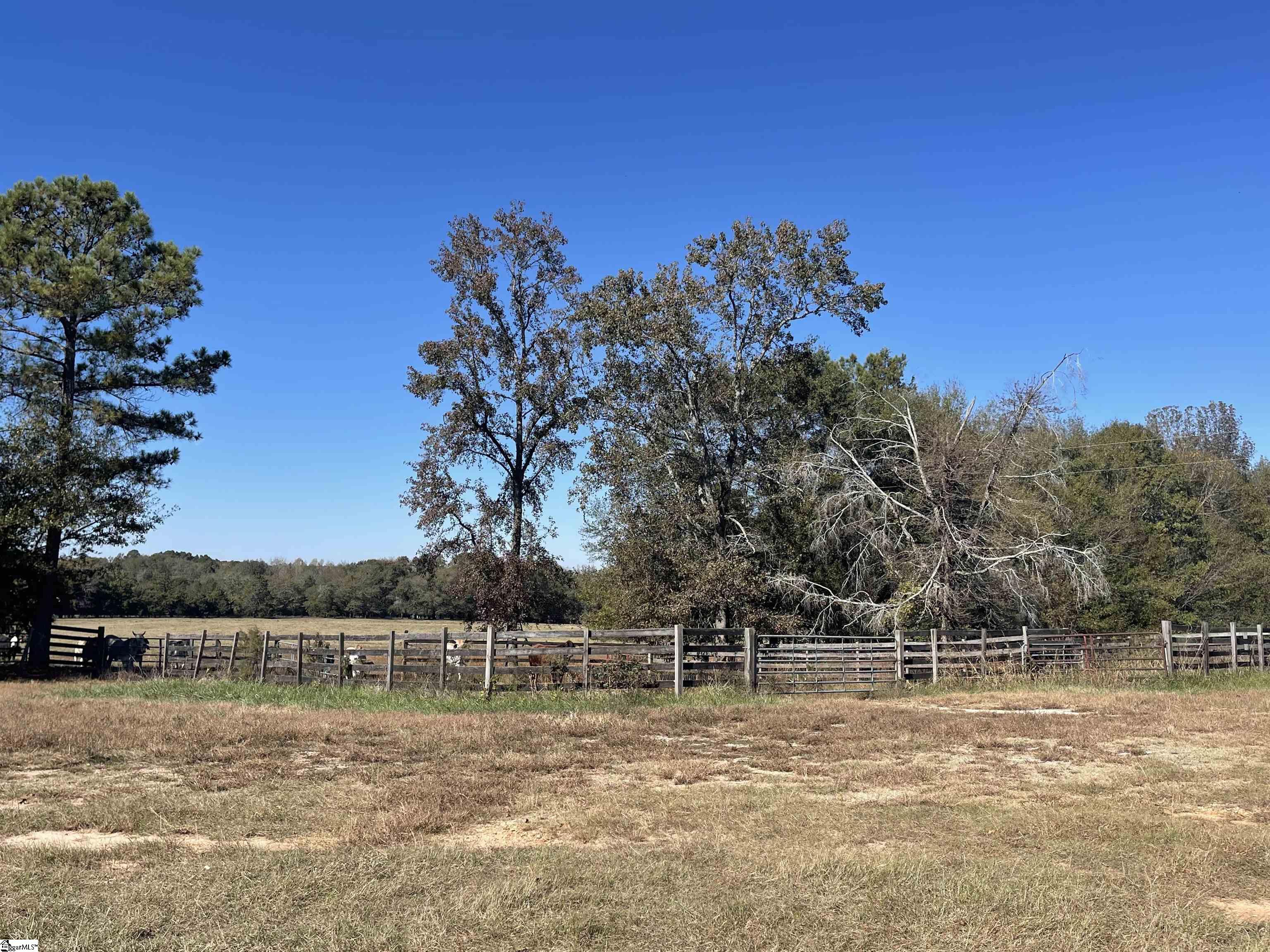 0 Gibert Road Ware Shoals, SC 29692 - Photo 8 of 9