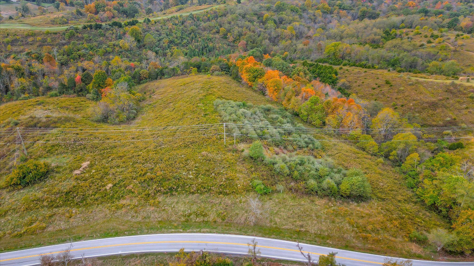 Lot #2 Georgetown Road Owenton, KY 40359 - Photo 4 of 10