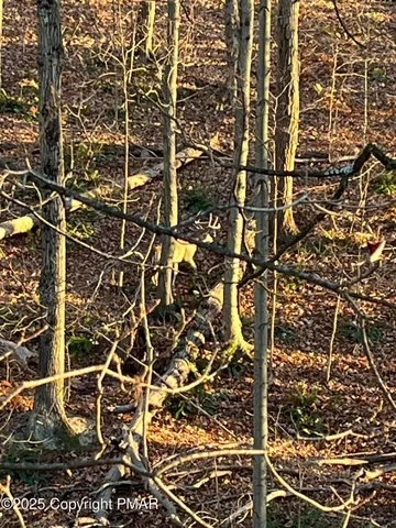 $400,000 | Grange Rd Mount, Mount Pocono, PA 18344