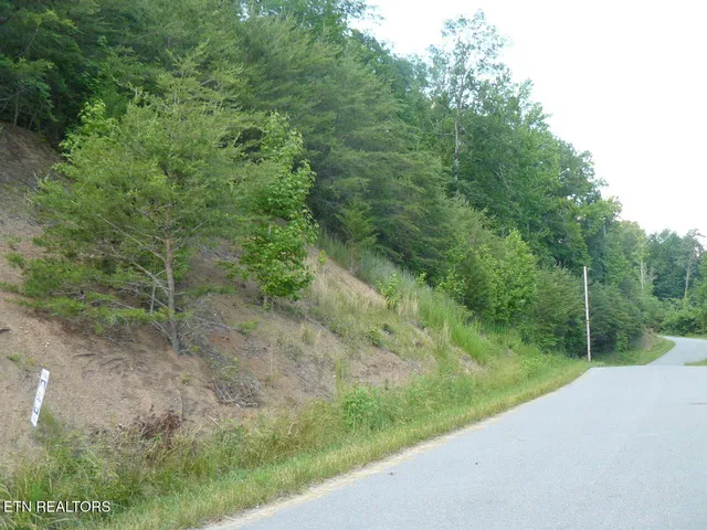 $25,000 | Lot 539 Whistle Valley Road, New Tazewell, TN 37825