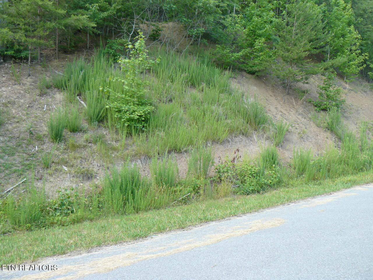 Lot 539 Whistle Valley Road New Tazewell, TN 37825 - Photo 2 of 3 P1370676