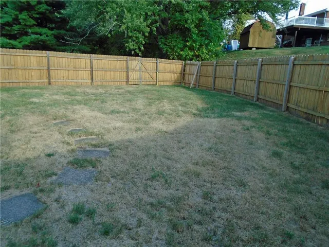 a view of a big yard with plants and large trees