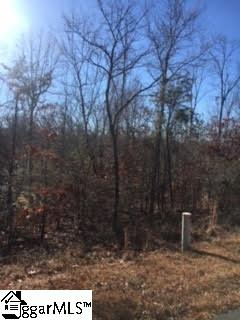 0 Bolding Road Liberty, SC 29657 - Photo 2 of 5