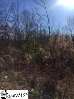 0 Bolding Road Liberty, SC 29657 - Photo 4 of 5