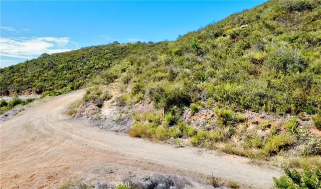 a view of a large yard with plants and trees