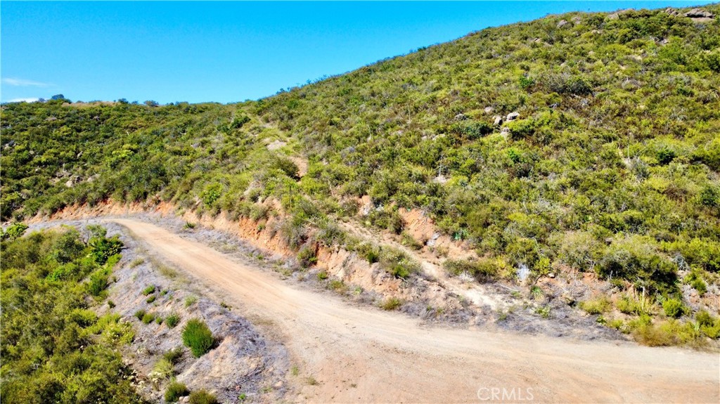 0 Sunset Peak Pala, CA 92059 - Photo 18 of 18 a view of a large yard with plants and trees