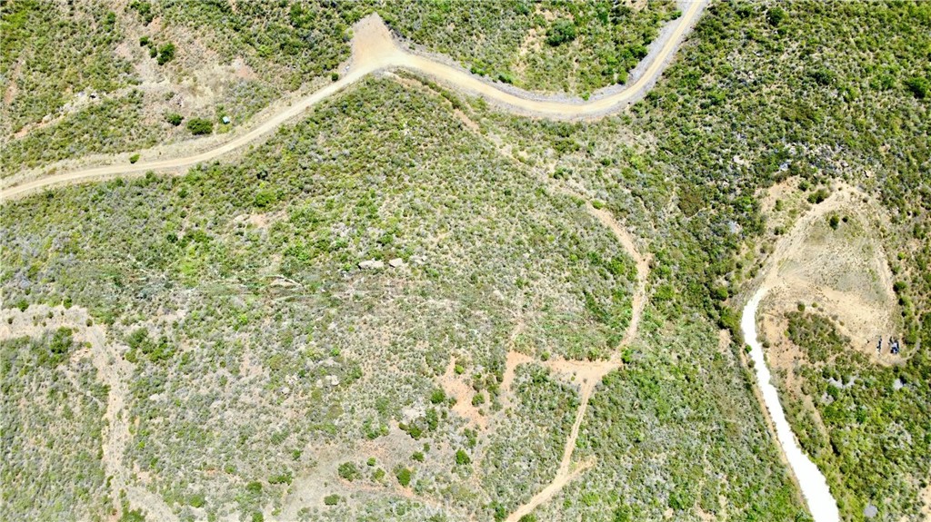 0 Sunset Peak Pala, CA 92059 - Photo 4 of 18 a close up of a tree