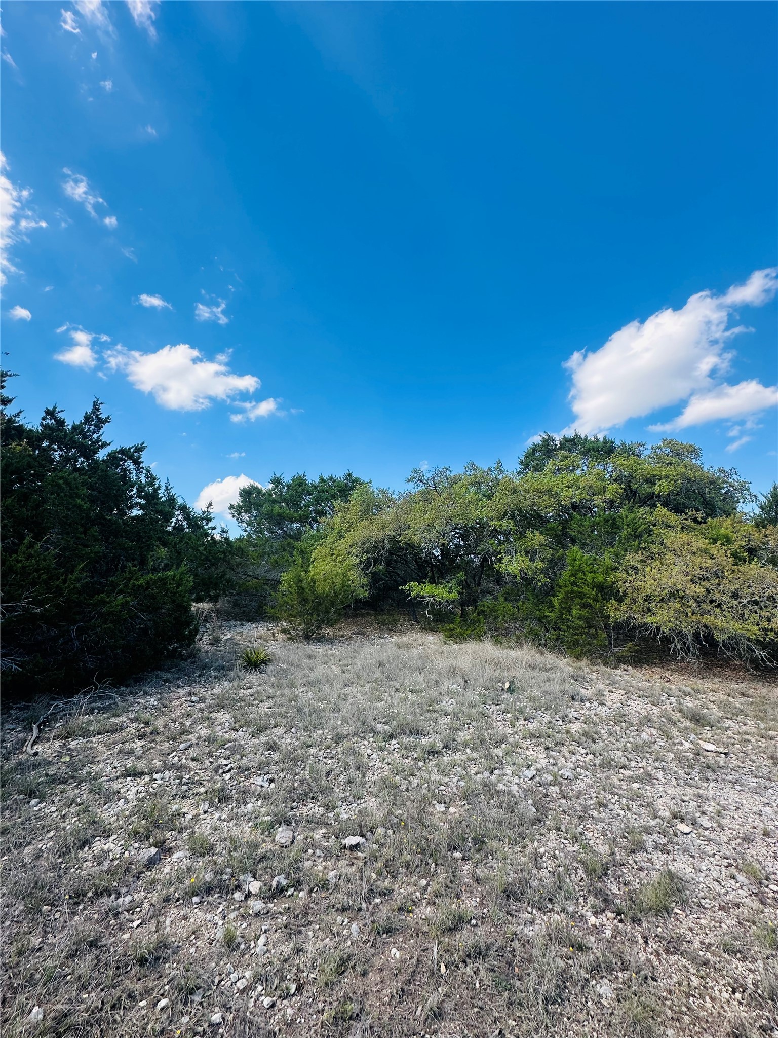 336 County Road 334 Roads Burnet, TX 78611 - Photo 7 of 11 Vast natural landscaping defines this serene property, bordered by verdant trees under an azure sky.