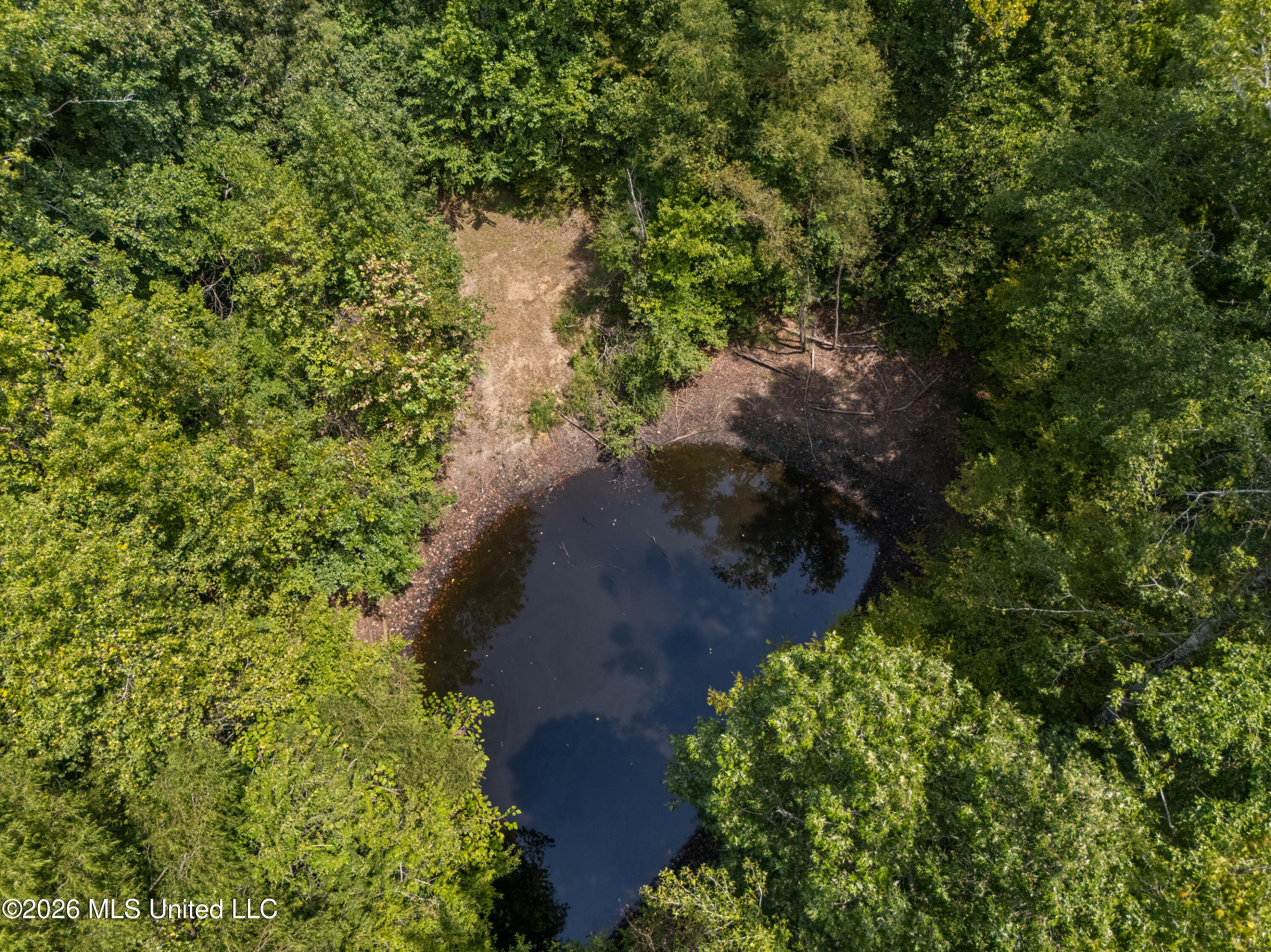 Brownlee Road Sarah, MS 38665 - Photo 12 of 20 14_dji_20260824125444_0126_d_print